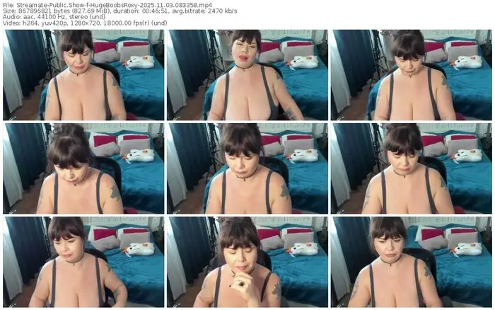 streamate-hugeboobsroxy-11-03-2025-08-33-58
