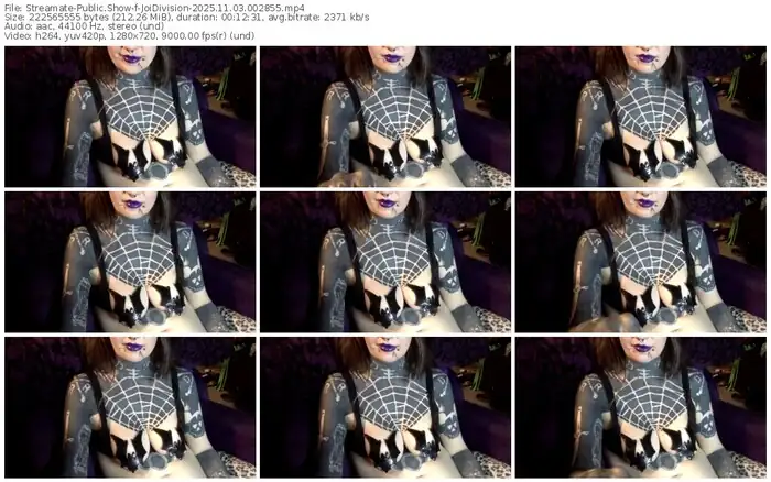 streamate-joidivision-11-03-2025-00-28-55