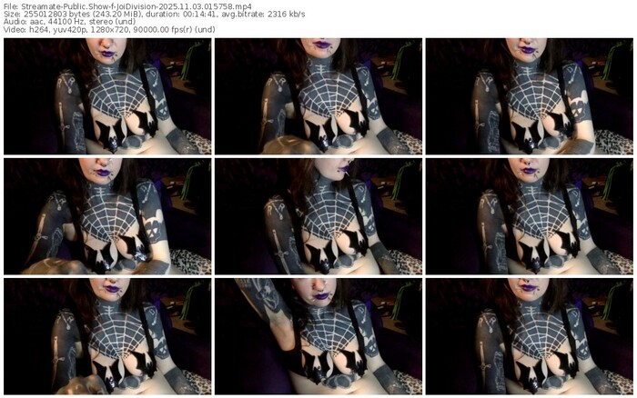 streamate-joidivision-11-03-2025-01-57-58