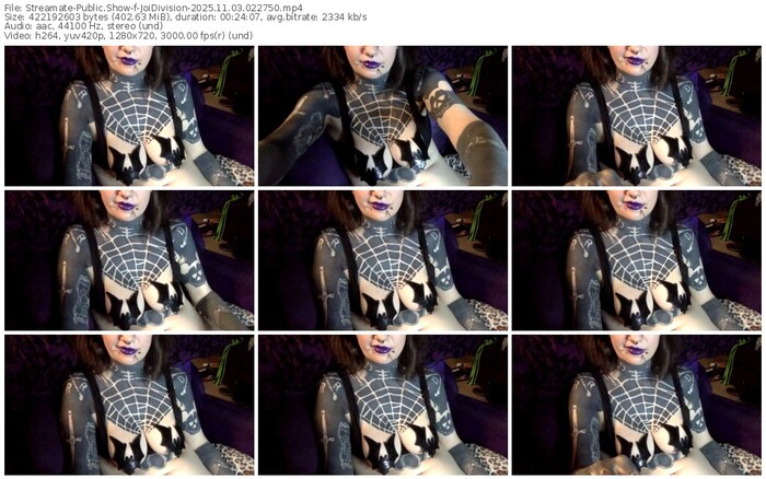 streamate-joidivision-11-03-2025-02-27-50