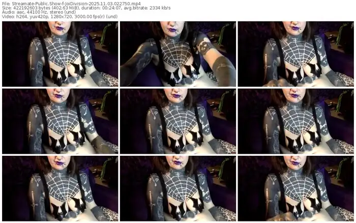 streamate-joidivision-11-03-2025-02-27-50