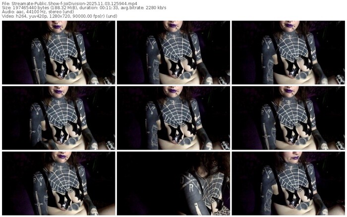 streamate-joidivision-11-03-2025-12-59-44