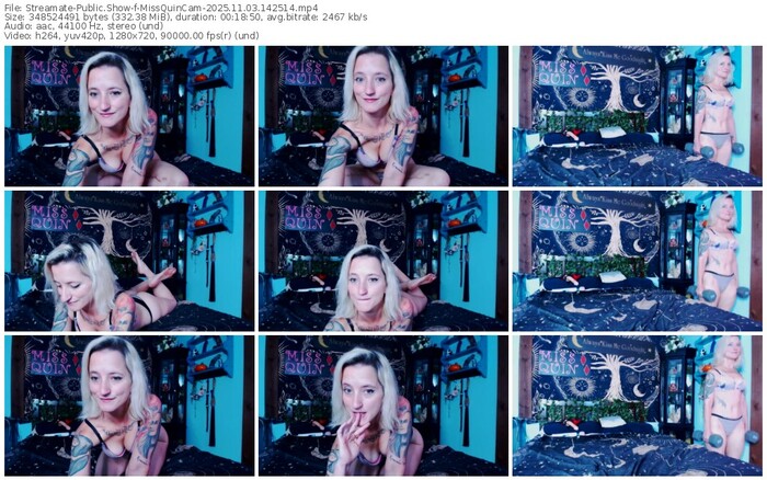 streamate-missquincam-11-03-2025-14-25-14