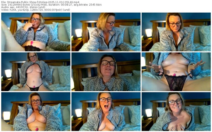 streamate-msgee-11-03-2025-13-51-46