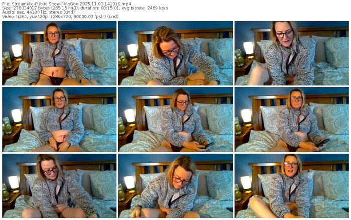 streamate-msgee-11-03-2025-14-19-19