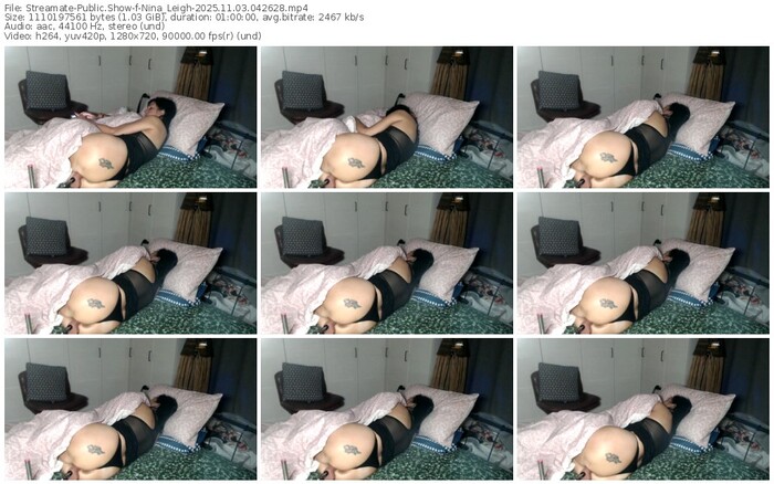 streamate-nina_leigh-11-03-2025-04-26-28