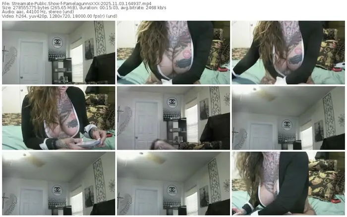 streamate-pamelagunnsxxx-11-03-2025-16-49-37