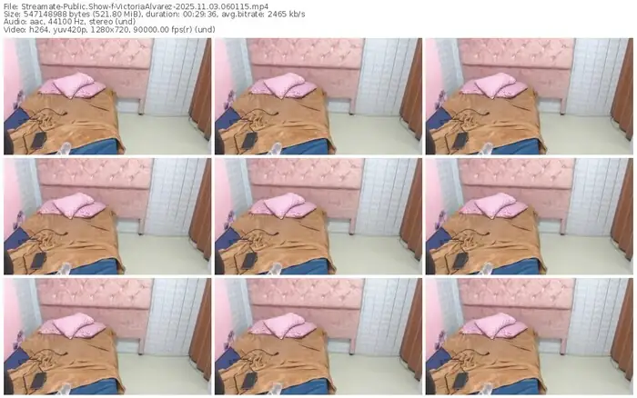 streamate-victoriaalvarez-11-03-2025-06-01-15