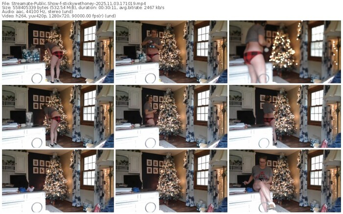 streamate-stickywethoney-11-03-2025-17-10-19