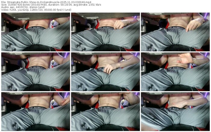 streamate-dickandmuscle-11-03-2025-03-00-46
