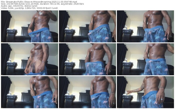 streamate-mrwoodmoaning-11-03-2025-05-47-48