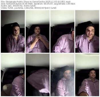 streamate-senorgecko-11-03-2025-01-18-51
