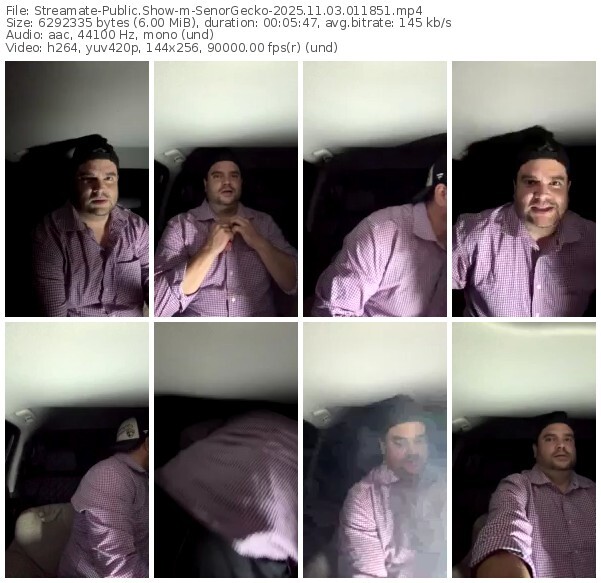 streamate-senorgecko-11-03-2025-01-18-51