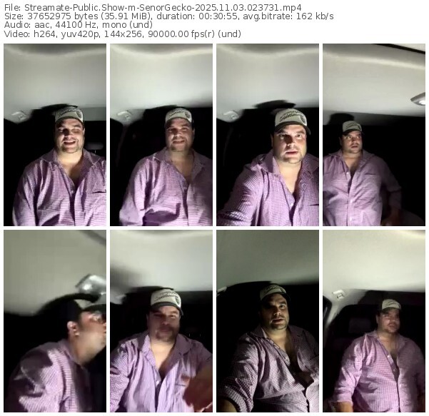 streamate-senorgecko-11-03-2025-02-37-31