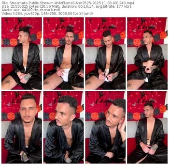 streamate-wildflamesilver2525-11-03-2025-09-12-40