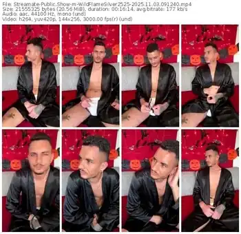 streamate-wildflamesilver2525-11-03-2025-09-12-40