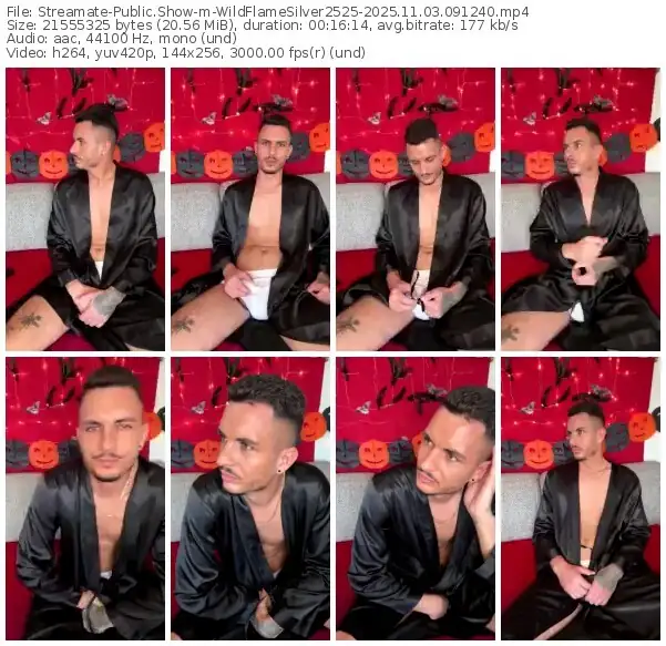 streamate-wildflamesilver2525-11-03-2025-09-12-40