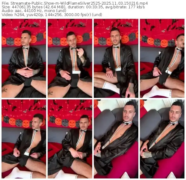 streamate-wildflamesilver2525-11-03-2025-15-02-16