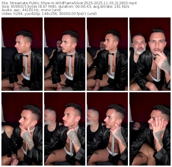streamate-wildflamesilver2525-11-03-2025-21-28-32