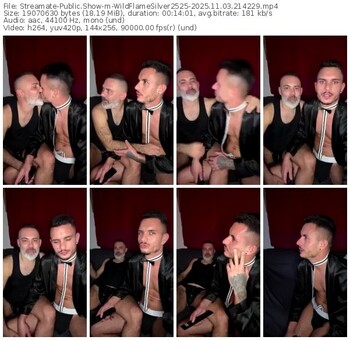 streamate-wildflamesilver2525-11-03-2025-21-42-29