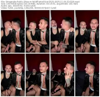 streamate-wildflamesilver2525-11-03-2025-21-42-29