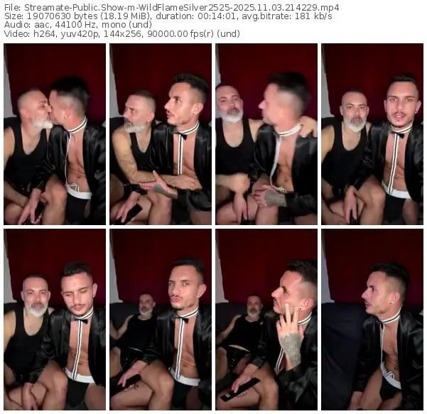 streamate-wildflamesilver2525-11-03-2025-21-42-29