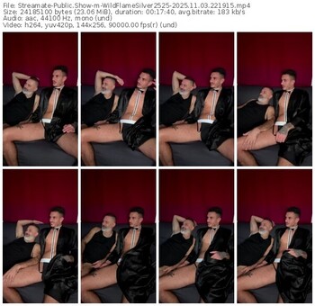 streamate-wildflamesilver2525-11-03-2025-22-19-15