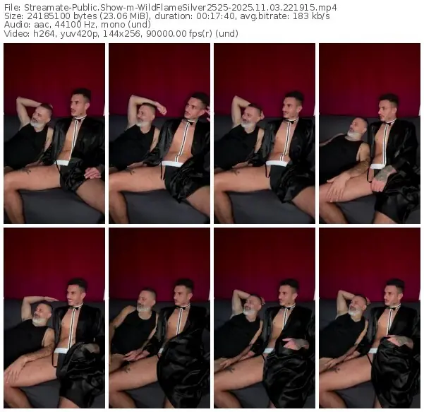 streamate-wildflamesilver2525-11-03-2025-22-19-15