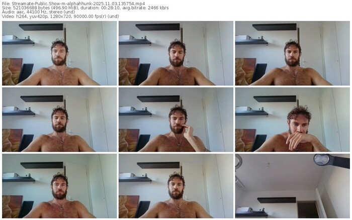 streamate-alphahhunk-11-03-2025-13-57-54