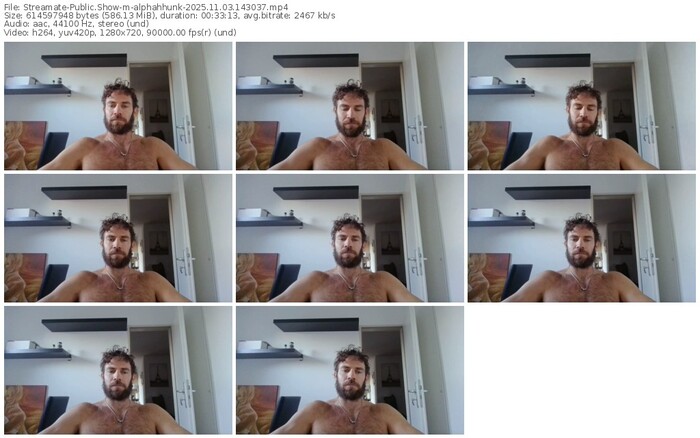 streamate-alphahhunk-11-03-2025-14-30-37