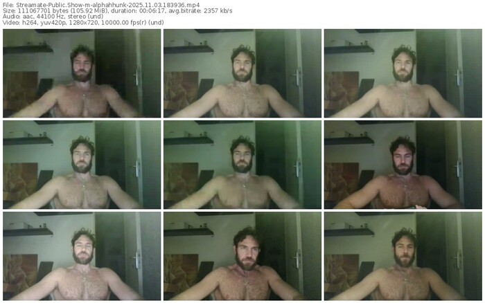 streamate-alphahhunk-11-03-2025-18-39-36