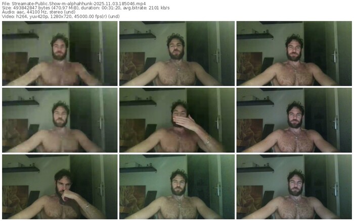 streamate-alphahhunk-11-03-2025-18-50-46