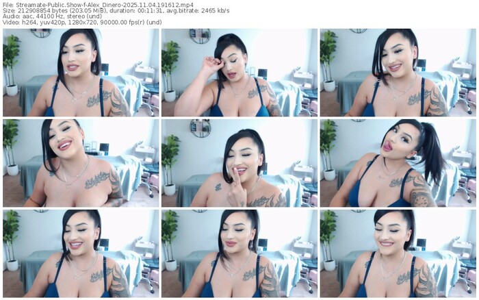 streamate-alex_dinero-11-04-2025-19-16-12