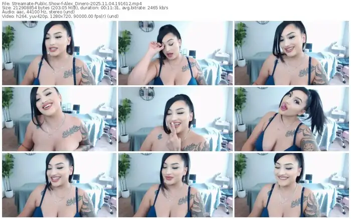 streamate-alex_dinero-11-04-2025-19-16-12