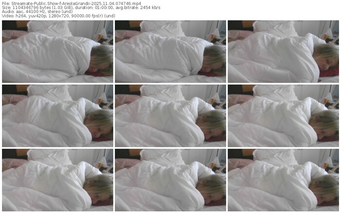 streamate-areolagrandii-11-04-2025-07-47-46