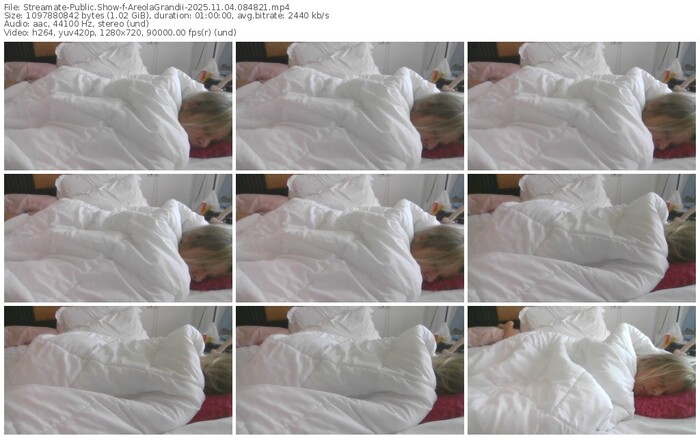 streamate-areolagrandii-11-04-2025-08-48-21