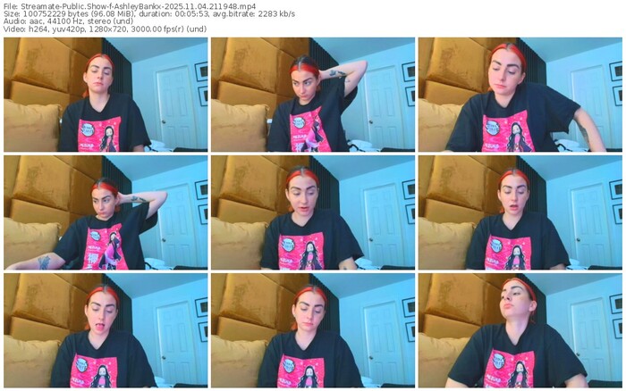 streamate-ashleybankx-11-04-2025-21-19-48