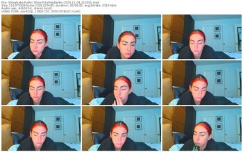 streamate-ashleybankx-11-04-2025-21-29-01