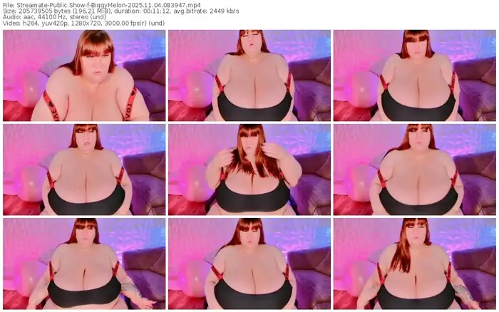 streamate-biggymelon-11-04-2025-08-39-47