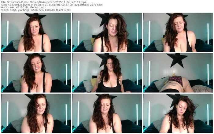 streamate-dixiexoxoxo-11-04-2025-14-01-33