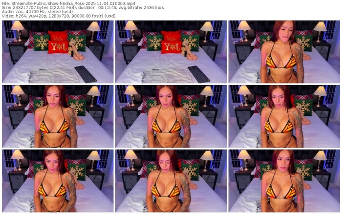 streamate-edna_ross-11-04-2025-01-00-03
