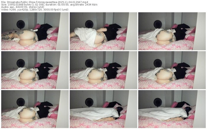 streamate-honeysweettea-11-04-2025-01-29-47