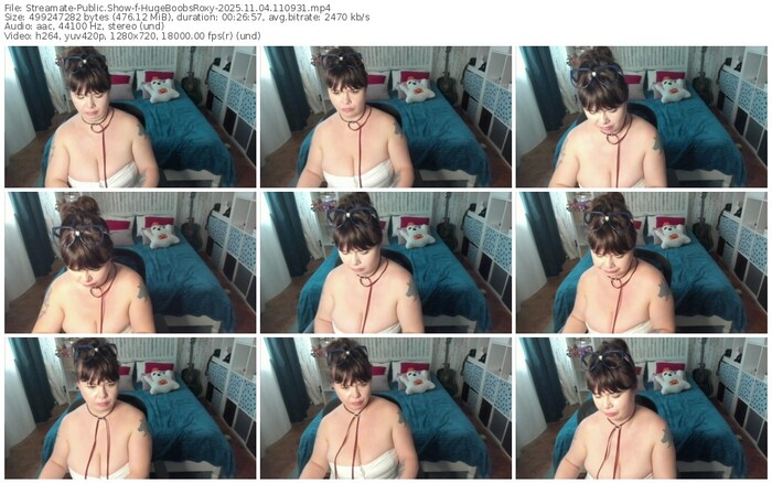 streamate-hugeboobsroxy-11-04-2025-11-09-31