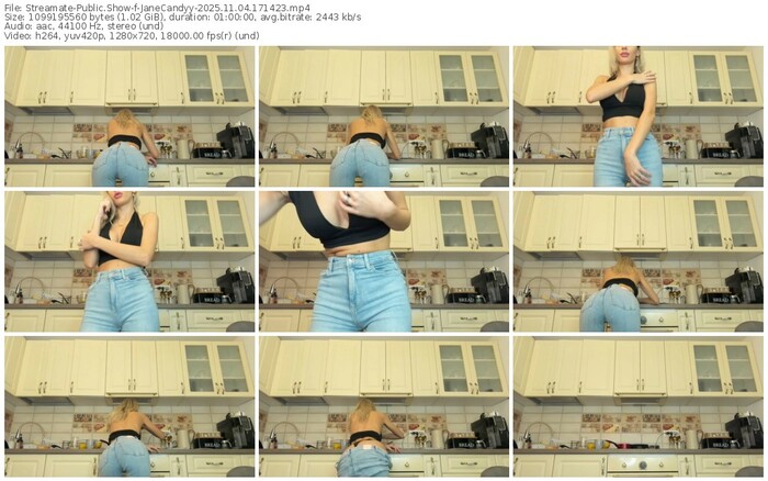 streamate-janecandyy-11-04-2025-17-14-23