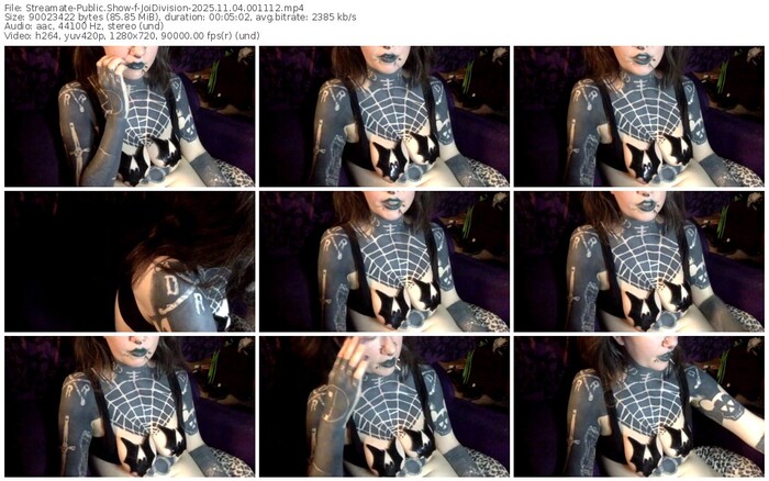 streamate-joidivision-11-04-2025-00-11-12