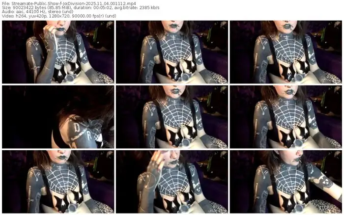 streamate-joidivision-11-04-2025-00-11-12