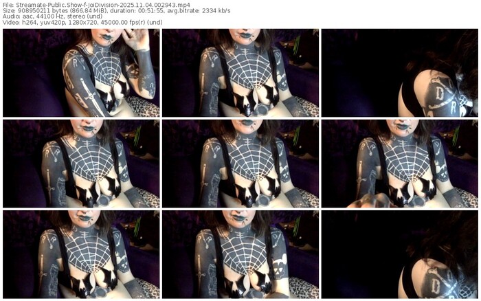 streamate-joidivision-11-04-2025-00-29-43