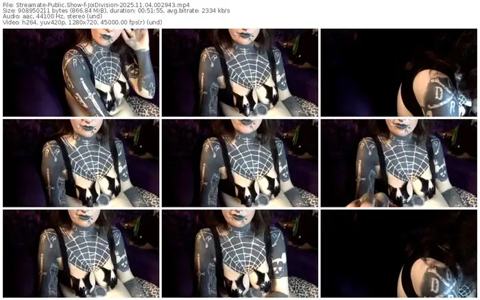 streamate-joidivision-11-04-2025-00-29-43