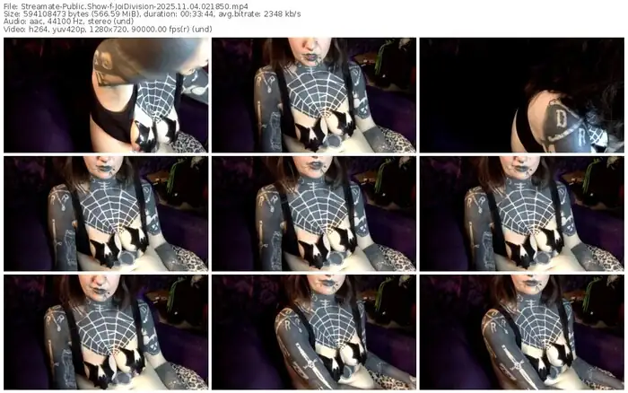 streamate-joidivision-11-04-2025-02-18-50