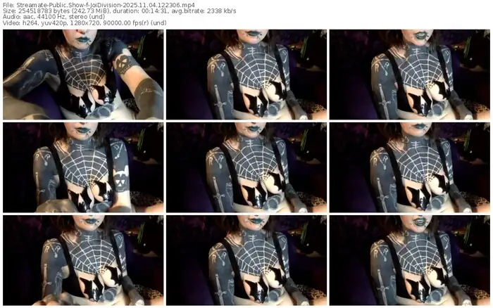 streamate-joidivision-11-04-2025-12-23-06